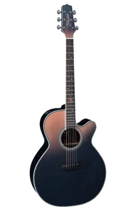 TAKAMINE LTD2024 Acoustic/Electric