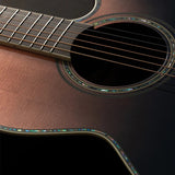 TAKAMINE LTD2024 Acoustic/Electric