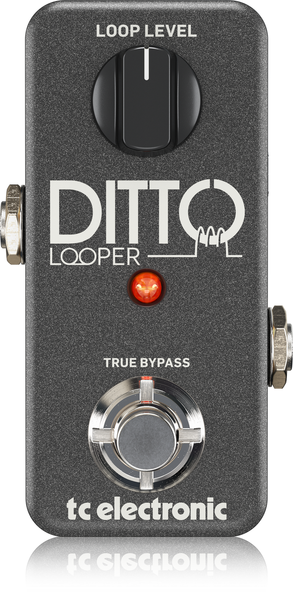 TC ELECTRONIC Ditto Looper